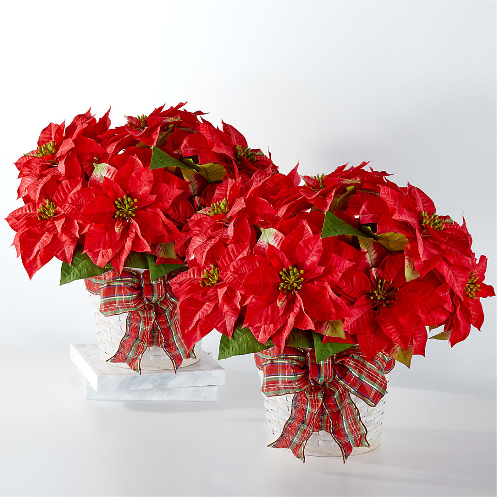 Happiest Holidays Poinsettia Bundle – Rhonda Wolke Designs, Ottawa OH