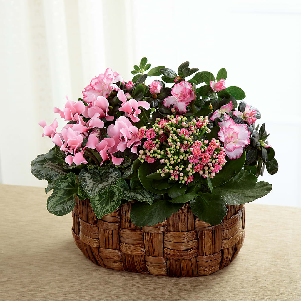 Pink Assortment – Rhonda Wolke Designs, Ottawa OH
