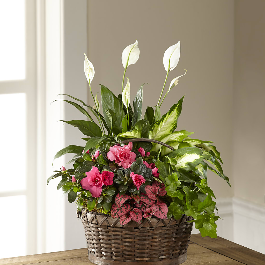 Dream in Pink Dishgarden – Rhonda Wolke Designs, Ottawa OH