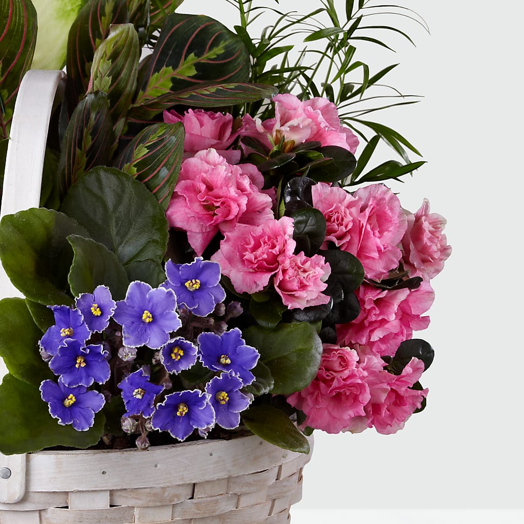 Peaceful Garden Planter – Rhonda Wolke Designs, Ottawa OH