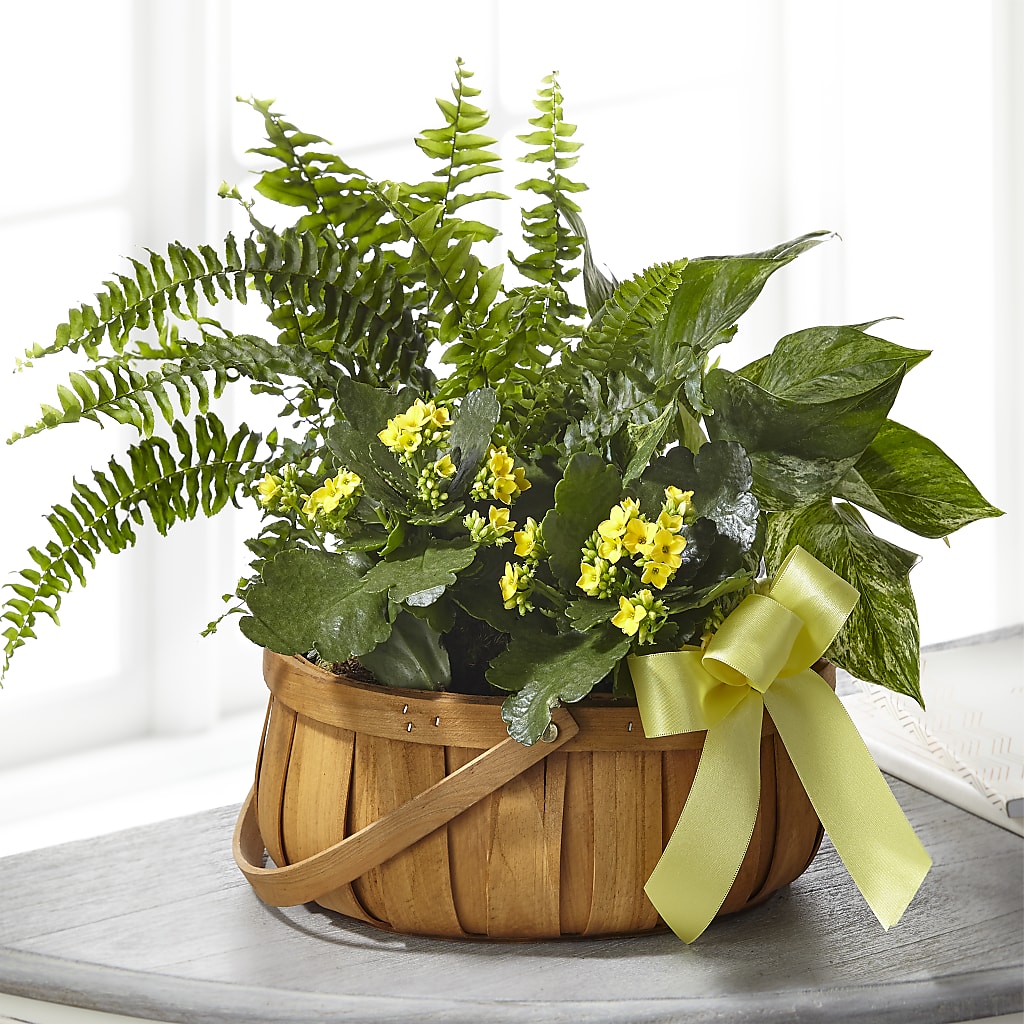 Always Dear Dishgarden – Rhonda Wolke Designs, Ottawa OH