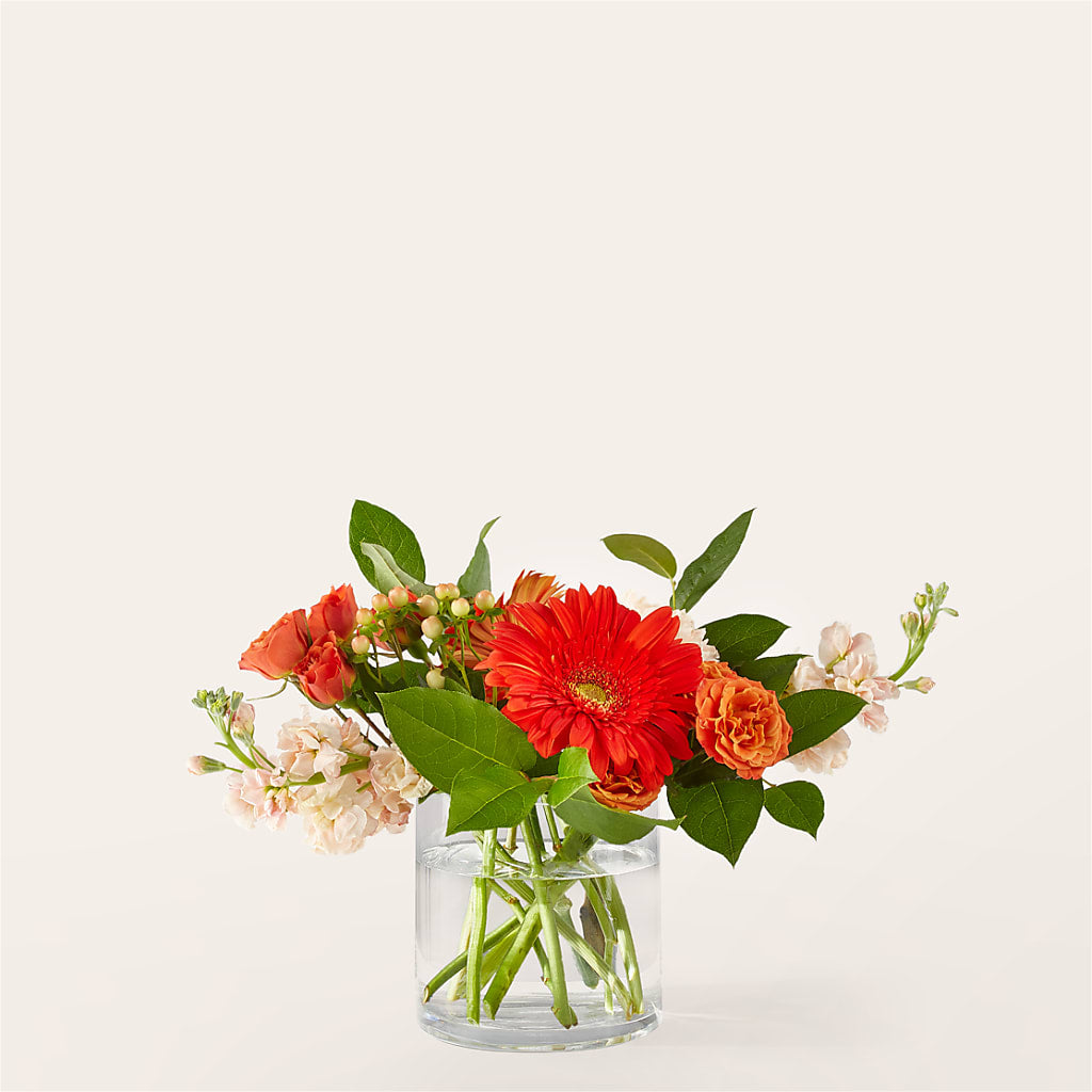 Paloma Please Bouquet – Rhonda Wolke Designs, Ottawa OH