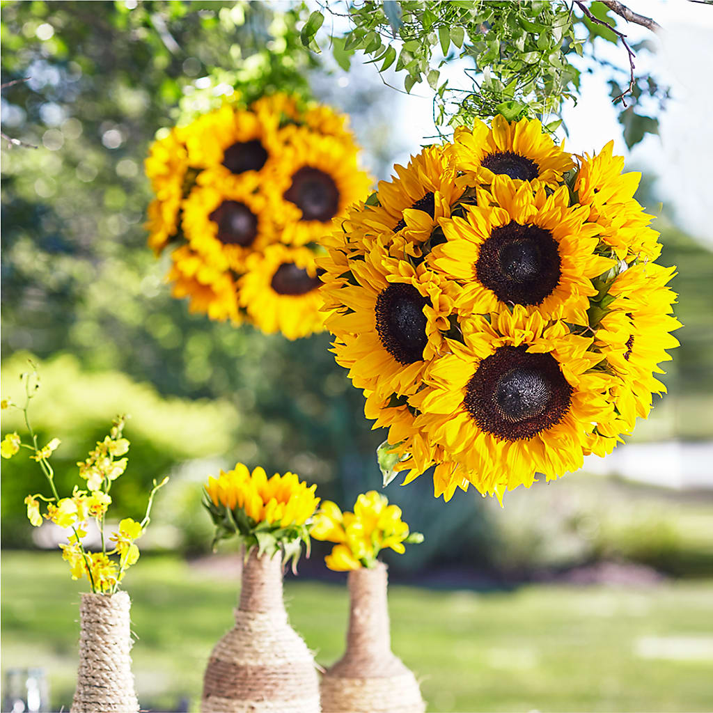 Sublime Garden Hanging Arrangement – Rhonda Wolke Designs, Ottawa OH