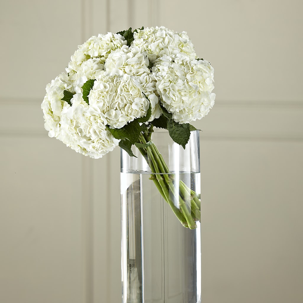 White Hydrangea Hand-Tied Bouquet – Rhonda Wolke Designs, Ottawa OH