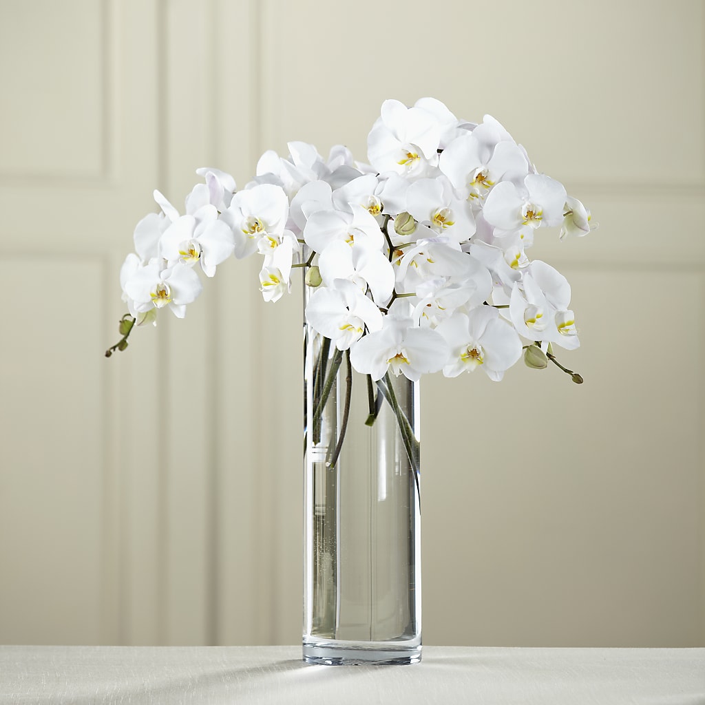 White Phalaenopsis Bouquet – Rhonda Wolke Designs, Ottawa OH