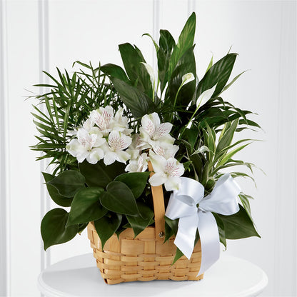 Peace & Serenity Dishgarden –  Rhonda Wolke Designs, Ottawa OH
