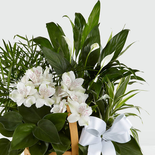 Peace & Serenity Dishgarden –  Rhonda Wolke Designs, Ottawa OH