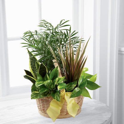 French Garden –  Rhonda Wolke Designs, Ottawa OH