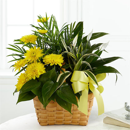 Loving Light Dishgarden –  Rhonda Wolke Designs, Ottawa OH