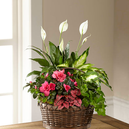 Dream in Pink Dishgarden –  Rhonda Wolke Designs, Ottawa OH