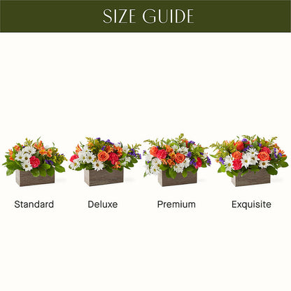 Oopsie Daisy Box Bouquet –  Rhonda Wolke Designs, Ottawa OH