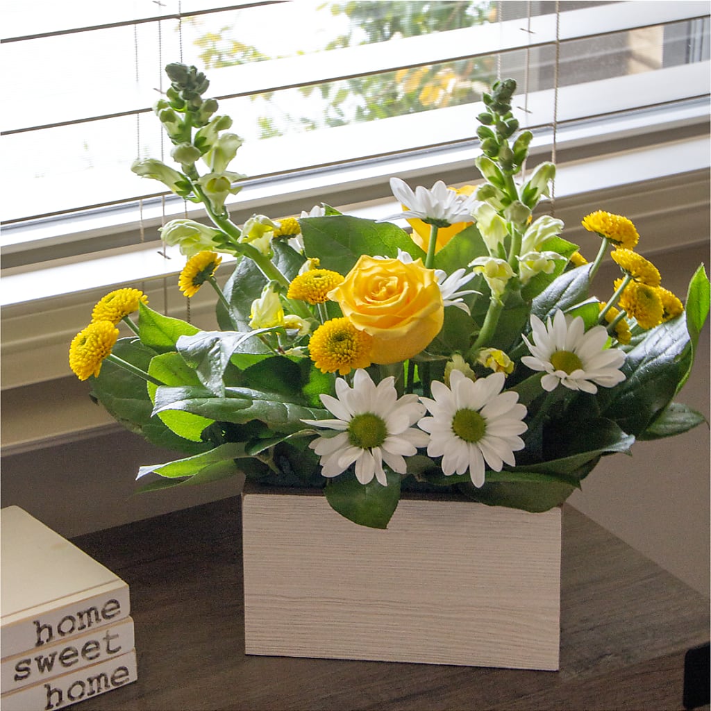Sun Salutation Box Bouquet –  Rhonda Wolke Designs, Ottawa OH