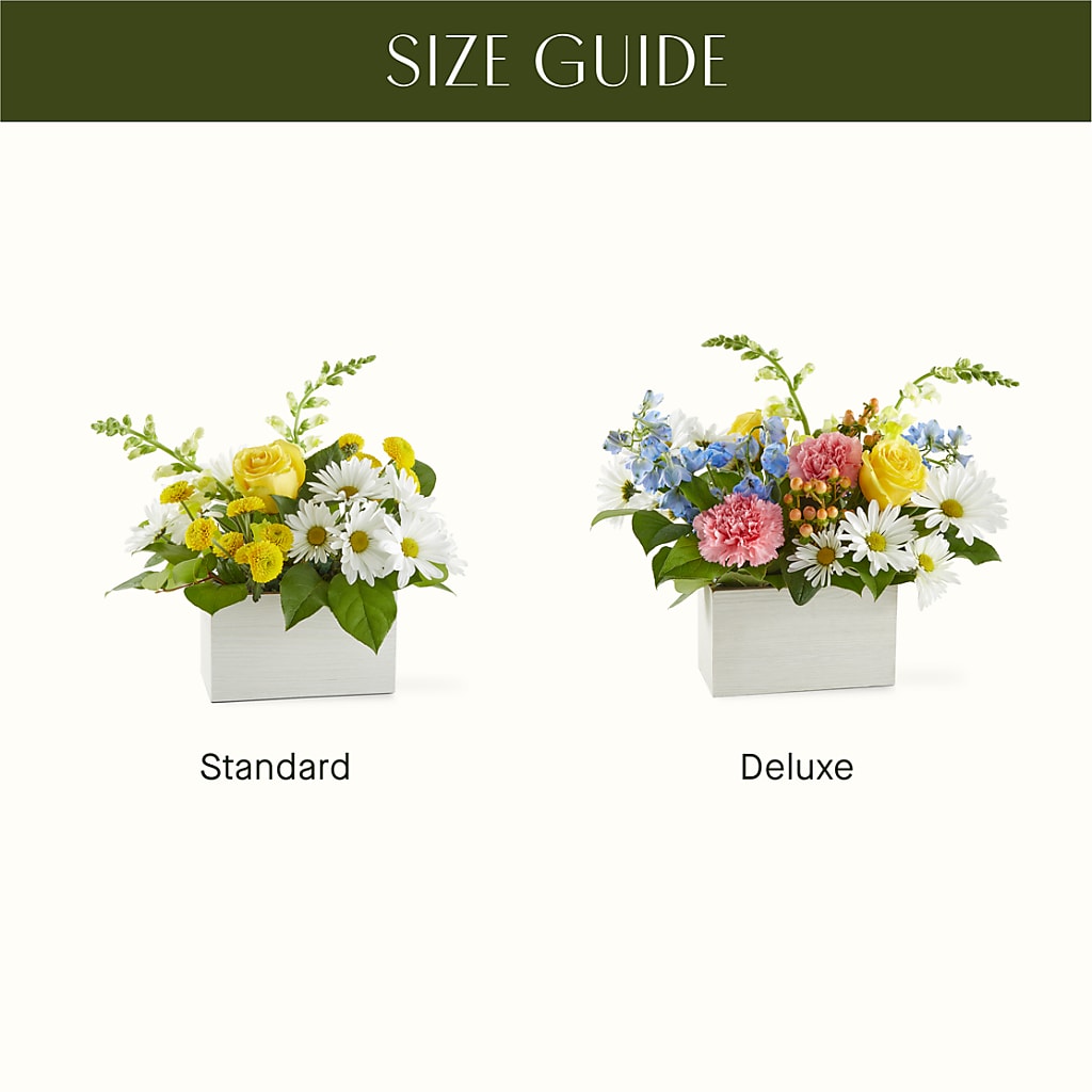 Sun Salutation Box Bouquet –  Rhonda Wolke Designs, Ottawa OH