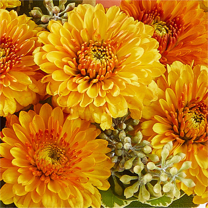 Peachy Pumpkin –  Rhonda Wolke Designs, Ottawa OH