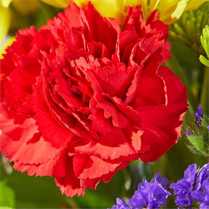 Brighter Days Bouquet –  Rhonda Wolke Designs, Ottawa OH