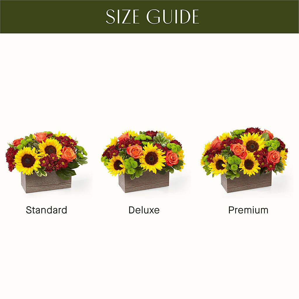 Happy Harvest Garden –  Rhonda Wolke Designs, Ottawa OH
