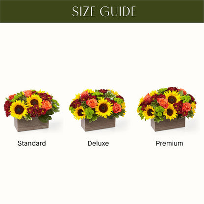 Happy Harvest Garden –  Rhonda Wolke Designs, Ottawa OH