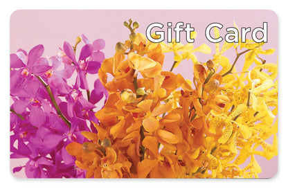 Gift Card –  Rhonda Wolke Designs, Ottawa OH