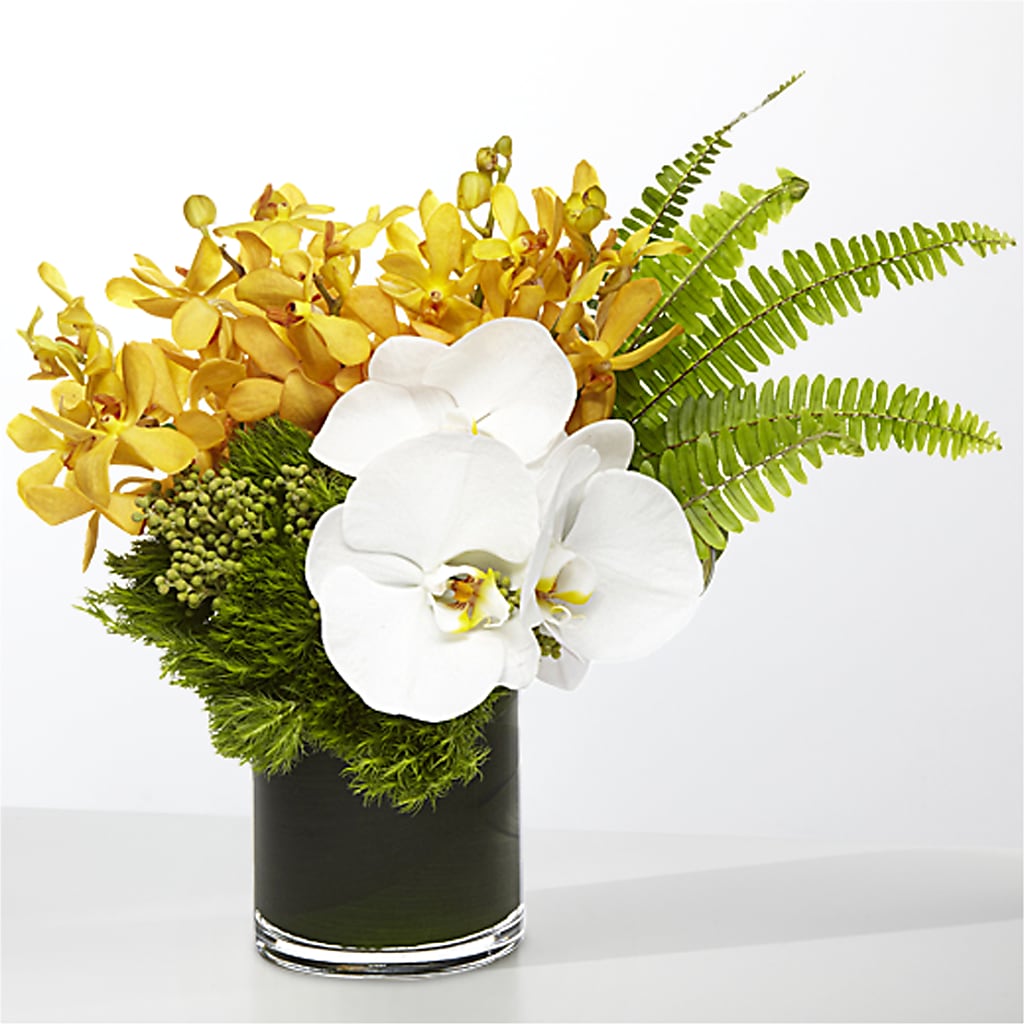 The Tropics –  Rhonda Wolke Designs, Ottawa OH