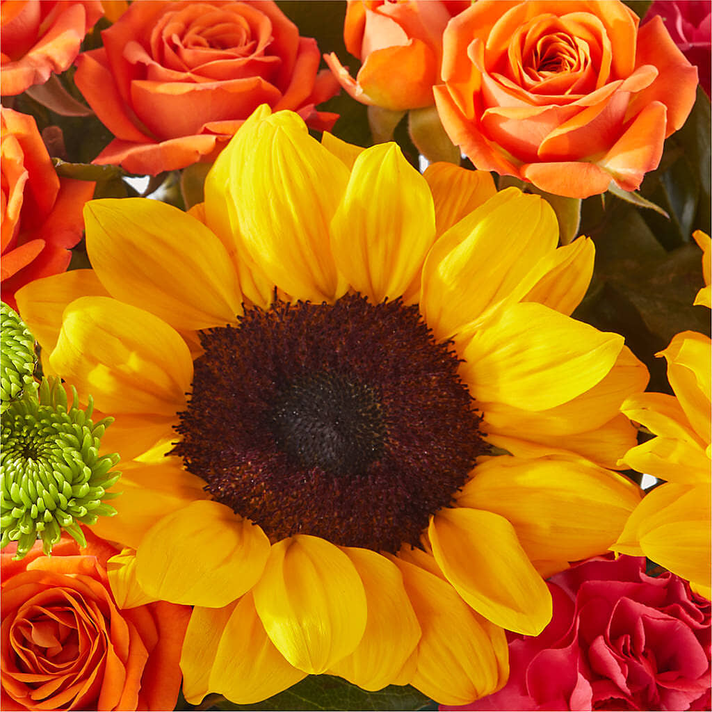 Sun-drenched Blooms Box Bouquet –  Rhonda Wolke Designs, Ottawa OH