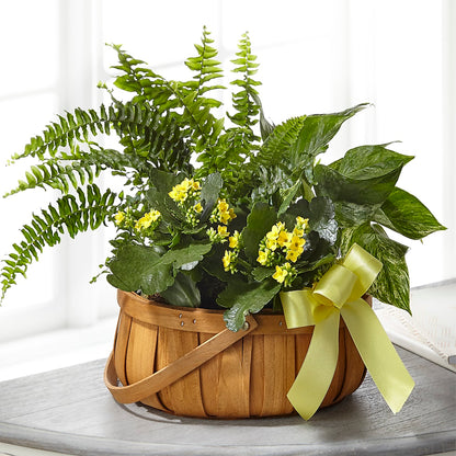 Always Dear Dishgarden –  Rhonda Wolke Designs, Ottawa OH