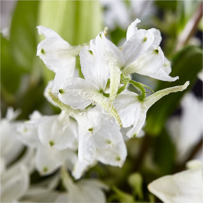 Classic Ivory – A Florist Original –  Rhonda Wolke Designs, Ottawa OH