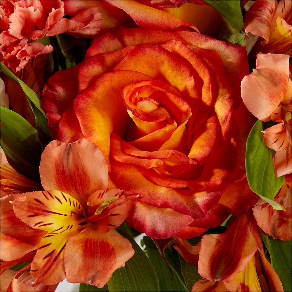 Apricot Glow Bouquet –  Rhonda Wolke Designs, Ottawa OH