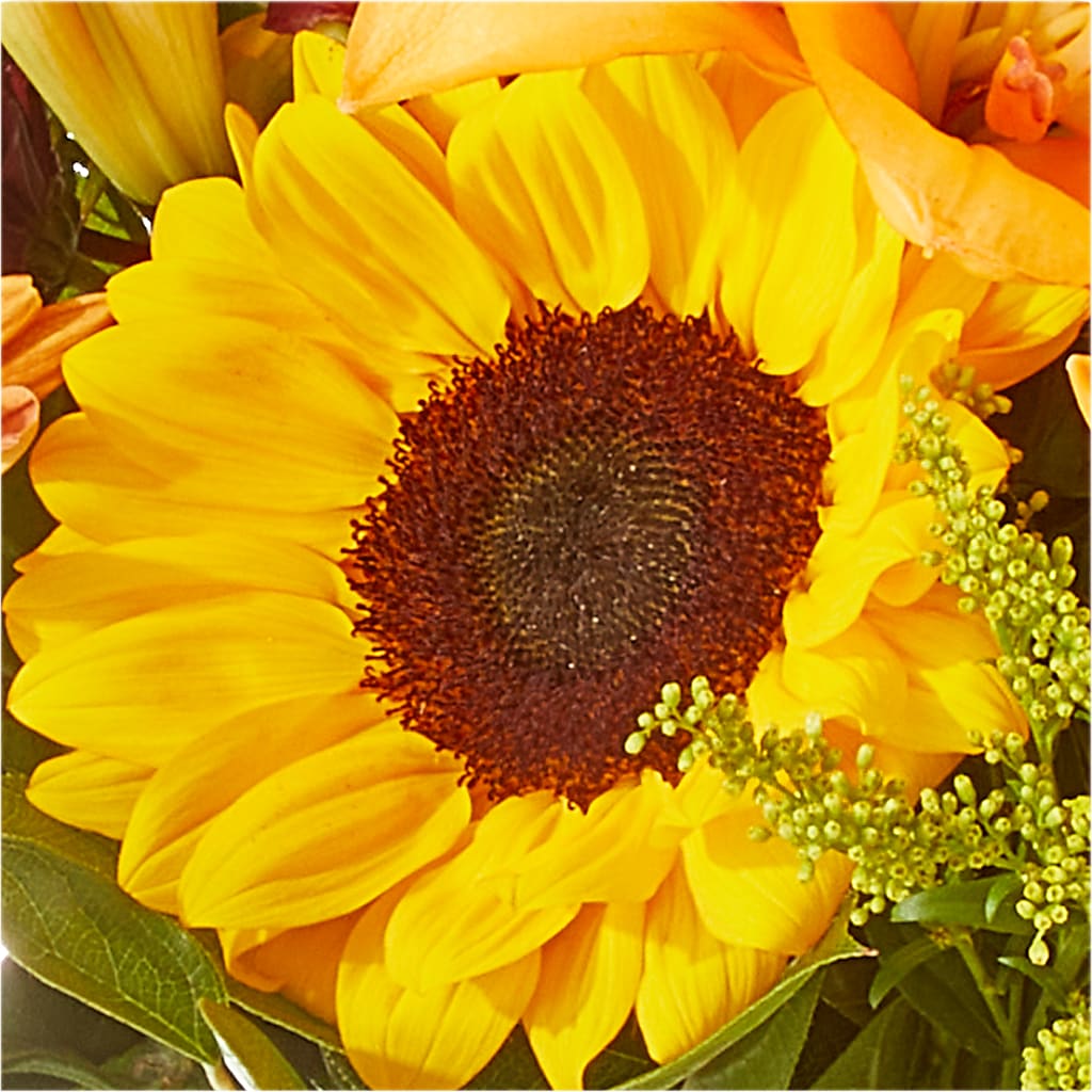 Seasons Change Bouquet –  Rhonda Wolke Designs, Ottawa OH