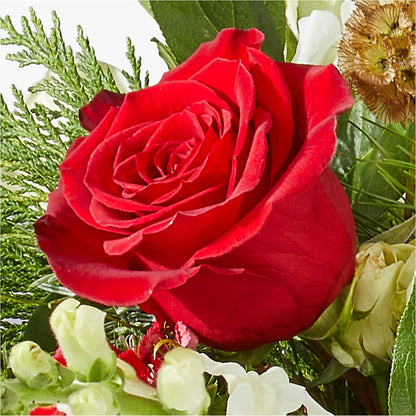 Deck the Halls Bouquet –  Rhonda Wolke Designs, Ottawa OH