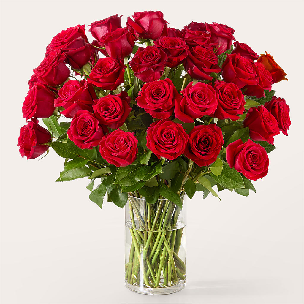 The One Red Rose Bouquet –  Rhonda Wolke Designs, Ottawa OH