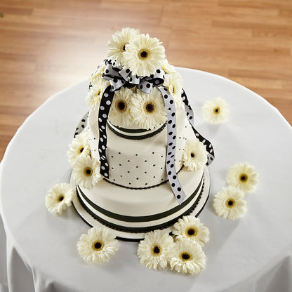 Simple Sophistication Cake Décor –  Rhonda Wolke Designs, Ottawa OH