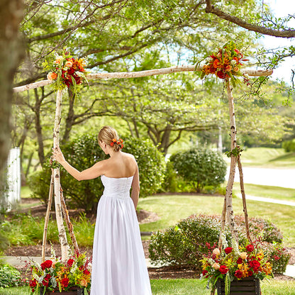 Arbor of Love Archway –  Rhonda Wolke Designs, Ottawa OH