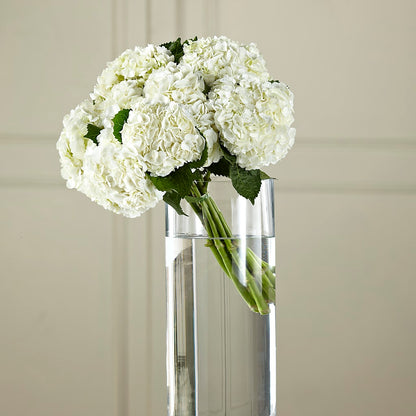 White Hydrangea Hand-Tied Bouquet –  Rhonda Wolke Designs, Ottawa OH