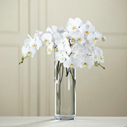 White Phalaenopsis Bouquet –  Rhonda Wolke Designs, Ottawa OH